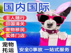 宁蒗泸沽湖机场快运国际宠物托运 【国